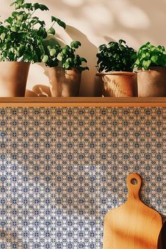 some potted plants are sitting on a shelf next to a cutting board and knife