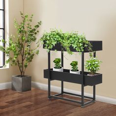 two planters with plants in them sitting on a stand next to a window and wooden floor