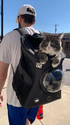 a man carrying a cat in a back pack