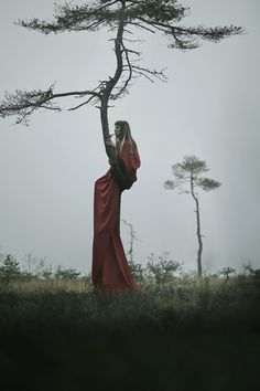 a woman in a long red dress standing next to a tree on a foggy day