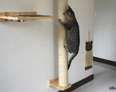 a cat climbing up the side of a scratching post