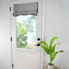 a potted plant sitting in front of a window