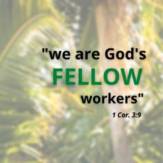 the words, we are god's fellow workers 1 cor 3 - 9