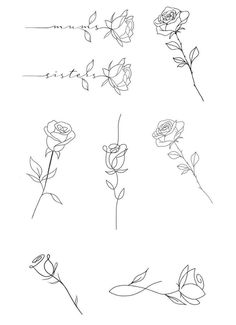 the outlines of different flowers are shown in black and white