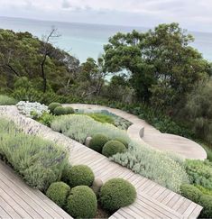 an outdoor garden with wooden walkways surrounded by greenery