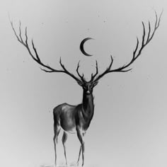 a black and white photo of a deer with the moon in the background