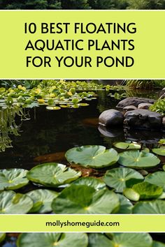 water lilies and lily pads with the words 10 best floating aquatic plants for your pond