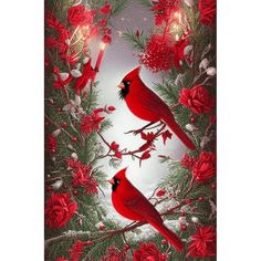 two red birds sitting on top of a tree branch next to christmas decorations and lights