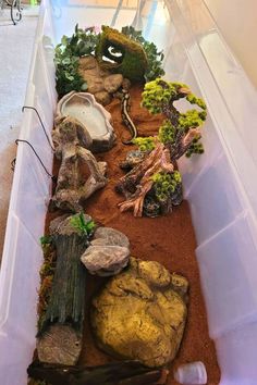 a long plastic container filled with plants and rocks