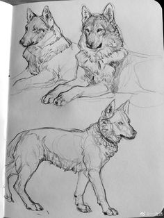 three wolfs are shown in this black and white sketching book, each with their own image