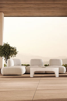 a white couch sitting on top of a hard wood floor next to a potted plant