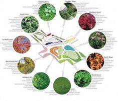 a circular diagram with different plants in it