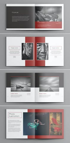 an open brochure with red and gray pages