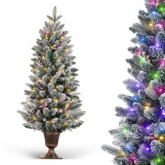 two artificial christmas trees with multicolored lights