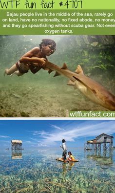 two pictures with people in the water and one has a shark on it