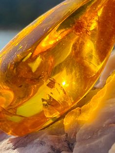 an orange glass object sitting on top of some snow covered ground with water in the background