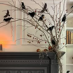 there are many birds perched on the branches of a tree in front of a fireplace