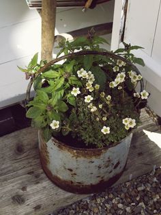 a potted plant sitting on top of a wooden floor next to a white door