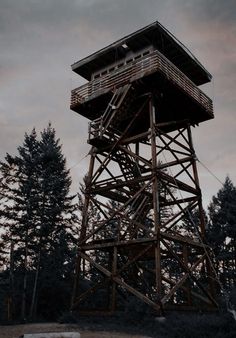 a tall wooden tower sitting on top of a lush green forest under a cloudy sky