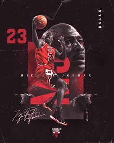 michael jordan signed autographed poster for the bulls'23 - 29 season in 2009 / 08