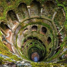 an aerial view of the inside of a spiral staircase with moss growing all over it