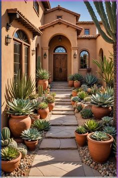 a house with many potted plants in front of it