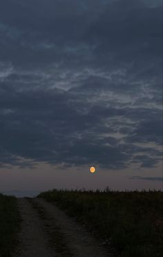 moon night sky moon path field trip aesthetic beauty wallpapers vibes nature fyp Starry Field Aesthetic, Wallpaper Field Aesthetic, Summer Night Sky Aesthetic, Misty Night Aesthetic, Night Nature Photos, Nature At Night Aesthetic, Farm At Night Aesthetic, Farm Night Aesthetic, Cold Nights Aesthetic