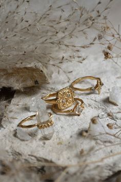 three gold rings sitting on top of a rock next to some dried grass and plants