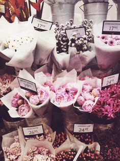 a bunch of flowers that are on display