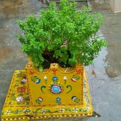 a potted plant sitting on top of a yellow cloth covered table next to a bench