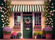 a store front with potted plants and flowers outside