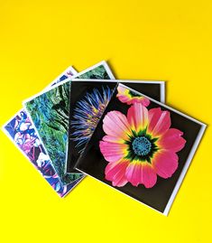 four different colored pictures are on top of each other, with one flower in the middle