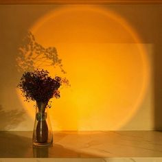 a vase with some flowers in it sitting on a table next to a wall and light