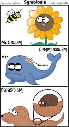 the different types of animals and their names