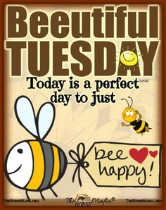 a poster with a bee saying, today is a perfect day to just bee happy