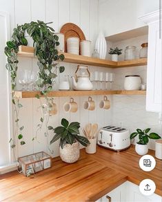 a kitchen with wooden counters and shelves filled with plants