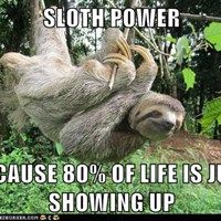 a sloth hanging from a tree in the jungle with caption that reads, sloths are masters of the game the ground is lava