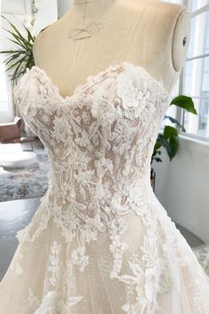 a wedding dress on display in front of a window with potted plant behind it