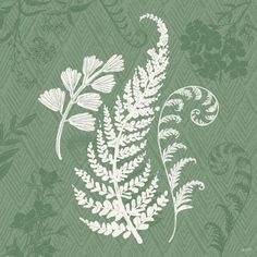 a green and white floral background with leaves