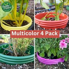 four different colored plastic flower pots with plants in them and the words multicolor 4 pack