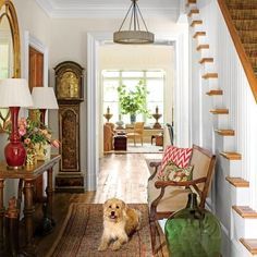 a dog sitting on the floor in front of a stair case next to a clock