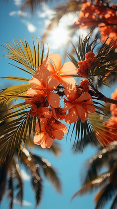 some orange flowers and palm trees against a blue sky