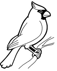 a bird sitting on top of a tree branch coloring pages for kids and adults free printable