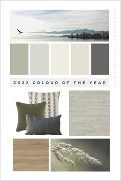 the color scheme for living room with neutrals and greys, including gray pillows