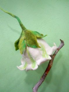 a green and white flower on a twig