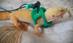 a toy gecko with a green hat on its head is laying on a bed