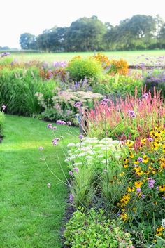 a garden filled with lots of different types of flowers