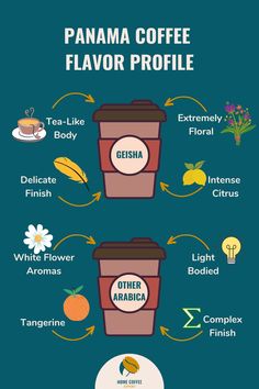 Panama Coffee Flavor Profiles of both Panama Geisha and Other Arabica coffee varieties Coffee Chart, Cocoa Chocolate, Arabica Coffee, Flower Lights, Hidden Gem, World Famous