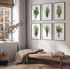 a room with pictures on the wall and a bench in front of it, along with a plant