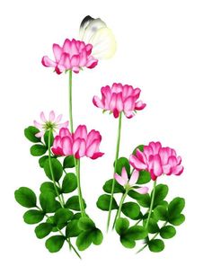 three pink flowers with green leaves and a white butterfly on the top one in flight